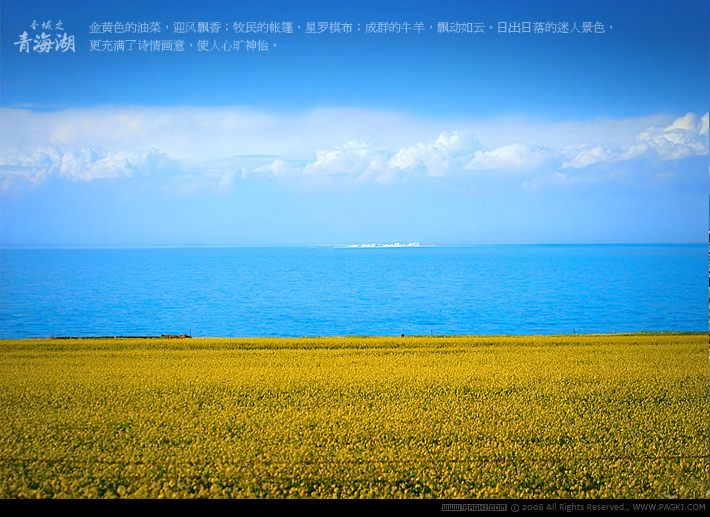 ���������ͼƬ��ˢ��