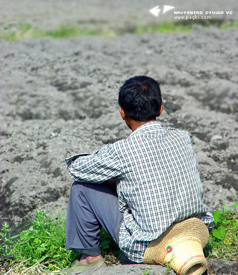 �ؼ���:ũ��,����Զ��