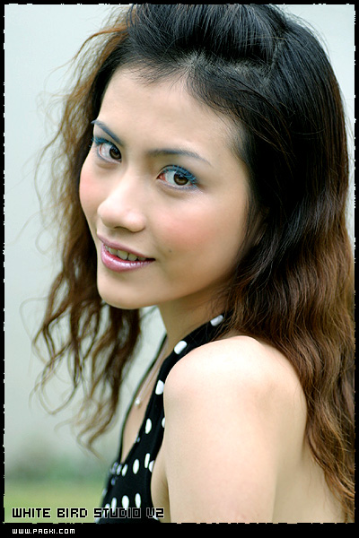 �ؼ���:ģ�ⷴתƬЧ��