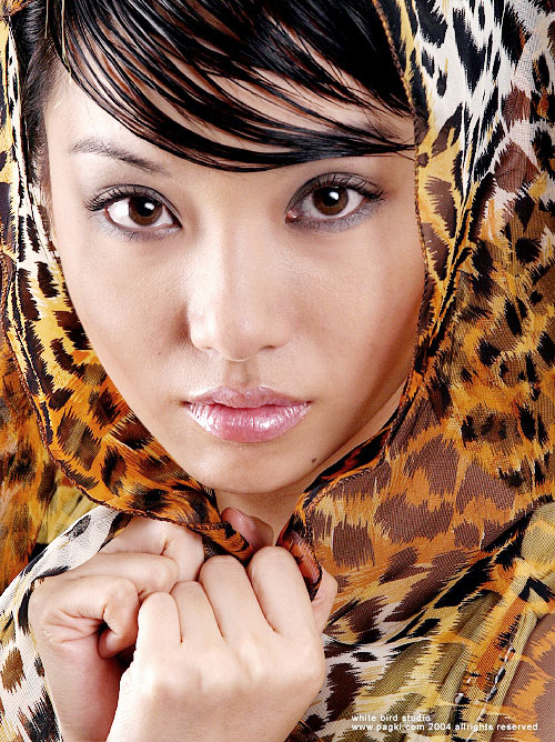 �ؼ���:���۾�Ů��